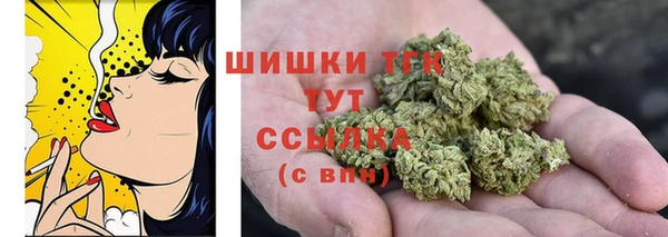 индика Бугульма