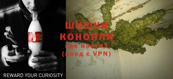прущие грибы Бородино