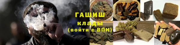 прущие грибы Бородино