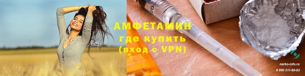 прущие грибы Бородино