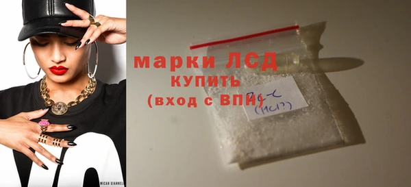 индика Бугульма