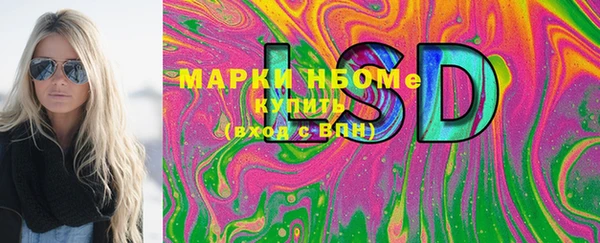 индика Бугульма