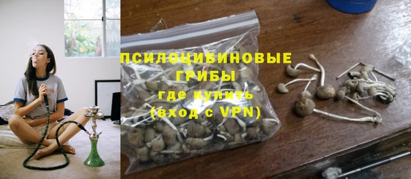 2c-b Снежногорск