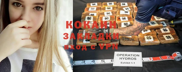 индика Бугульма
