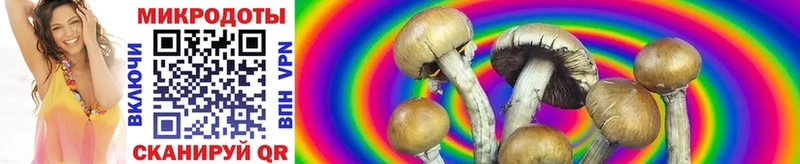 Галлюциногенные грибы Magic Shrooms  наркошоп  Ковылкино 