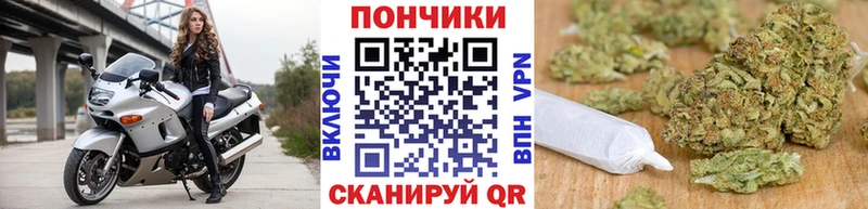 Бошки марихуана план Ковылкино